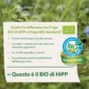 Cannelloni Alle Verdure: Confezione 250 gr