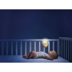 First Dreams Trillino Orso Day & Night