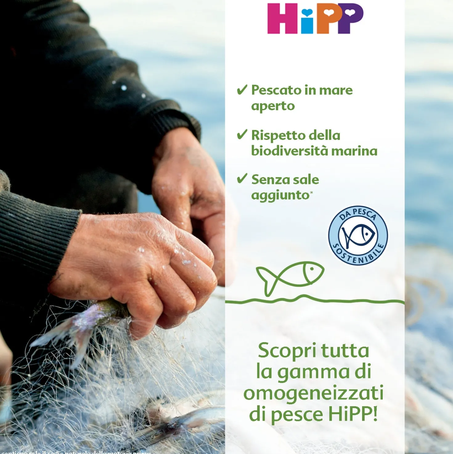 Omogeneizzato Pesce Salmone Con Verdure: Confezione 4x80 gr