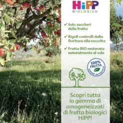 Omogeneizzato Tesori Di Frutta Pera Prugna: Confezione 160 gr