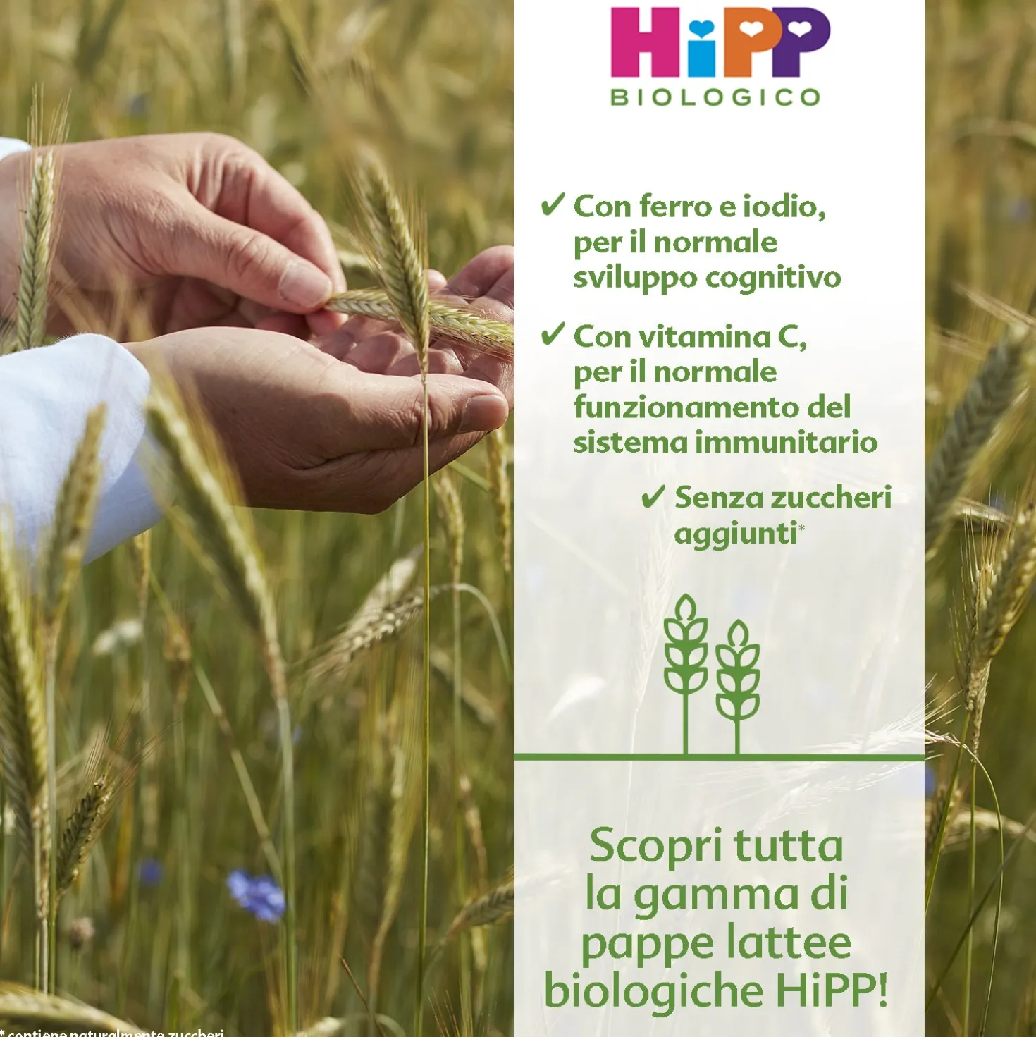 Pappa Lattea Mela: Confezione 250 gr