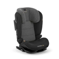Seggiolino Auto Cartesio Isize da 100 a 150 cm