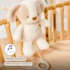Teddy Carillon Cane Ps26 C