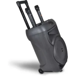 Trolley Pro Amplificatore Wireless Con 2 Microfoni 04 1090